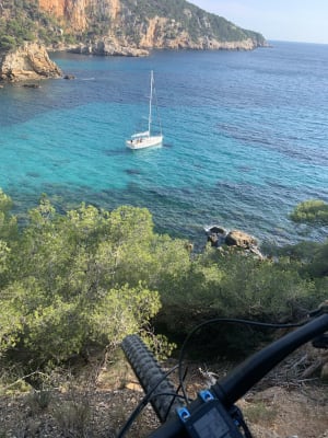 007d46bc 4743 4baf 849a cb226cc1fc4f jdhyxq - Eugenol