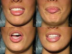 051102 ilg ms3a8v - Eugenol