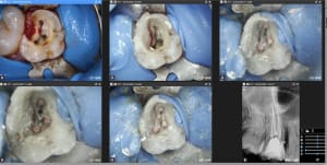 08dqqkvdxgoqyq5875mql3ruj4fl - Eugenol