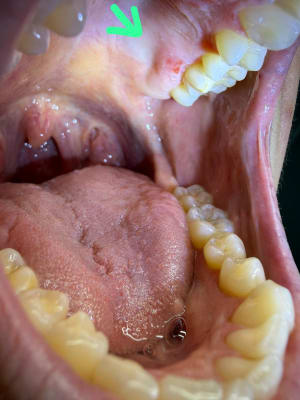 0nzb8wom7lozt54hy32pvswr8cep - Eugenol