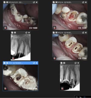 0v85l6bslxgyoorsi941cq97k6b2 - Eugenol