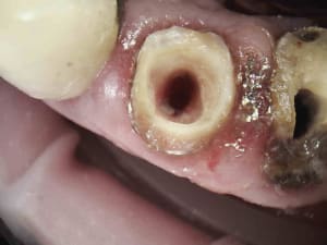 10 js8a6z - Eugenol