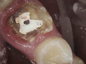1 drovc7 - Eugenol