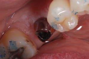 2009 05 18 020 geuf2k - Eugenol