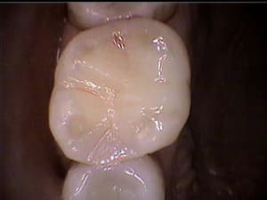 28 vndjgq - Eugenol