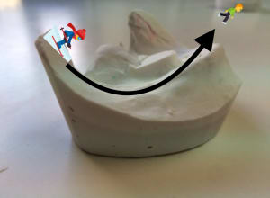 30c8f0ee 819d 4aab ad87 ccd61b5063c1 zfgfvt - Eugenol