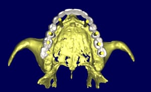 3d w0svpp - Eugenol
