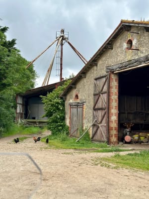 3db3ybu37gx0wvxv09bmn78pblgr - Eugenol