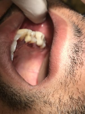 488dbad1 dcc9 4063 828a 4a9d4e272828 df7pzy - Eugenol