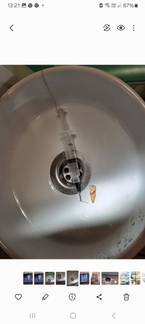 4af1dbng4lc4rcjv0mwpw4ikr6q9 - Eugenol