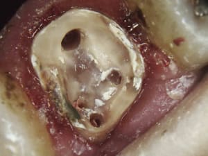 7 olv39z - Eugenol
