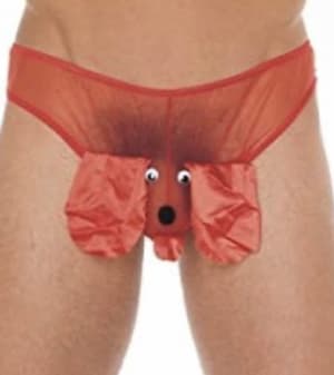 9814ff61 38fe 4c21 81d8 6f4e61d96d96 mfqckk - Eugenol