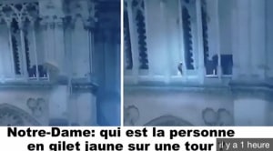 9c984af6 9a92 41eb 8514 ddbaac93c849 wf0e20 - Eugenol