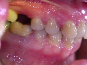 C dscn1688 wi5mz1 - Eugenol