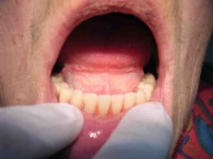 C dscn3001 qio1ou - Eugenol
