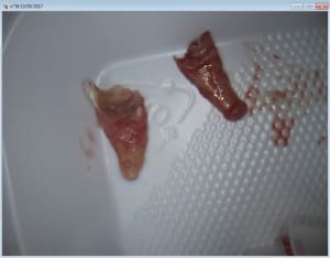 Capture d écran 2017 05 15 12.37 - Eugenol