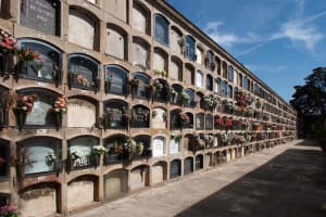 Capture d écran 2018 07 07 à 15.54 - Eugenol