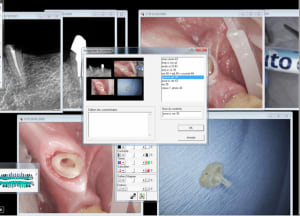 Capture d e cran 2016 01 19 10.24 - Eugenol