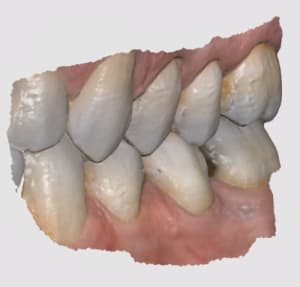Capture mutzam - Eugenol