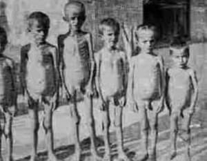 De2f002b 52f6 4f23 9f72 46b962cbc9a4 q5d264 - Eugenol