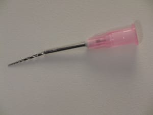 Dsc05958 ivrfh4 - Eugenol