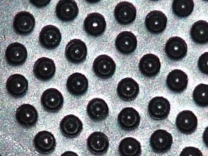 Dscf0138 ipwkt3 - Eugenol