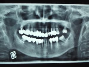 Dscf0323  2  phxuki - Eugenol