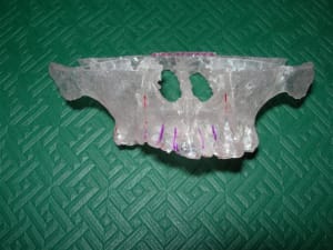 Dscn1868 d0czoo - Eugenol