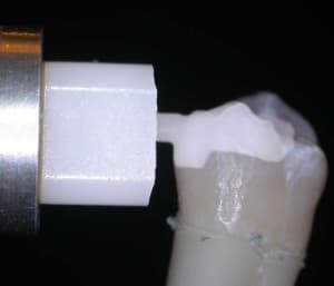Dscn2462w3 kjxelh - Eugenol
