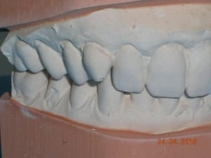 Dscn5261 e7tkyj - Eugenol