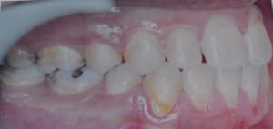 Dsc 0001 ffpgtq - Eugenol