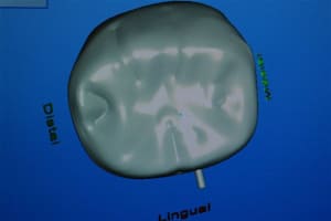 Dsc 0006 rp5cjx - Eugenol