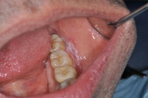 Dsc 0072 kn4ubd - Eugenol