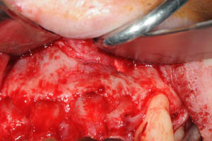 Dsc 0606 n3ucwa - Eugenol