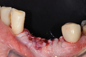 Dsc 1483 djexb2 - Eugenol
