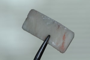 Dsc 1640 x5sg4c - Eugenol