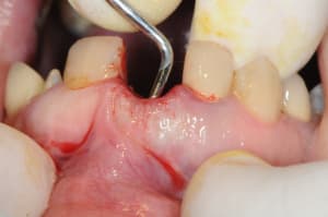Dsc 1697 hsusaq - Eugenol