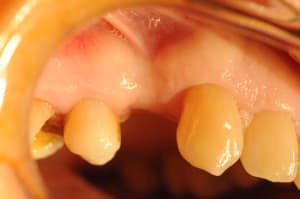 Dsc 1936 jwuctl - Eugenol