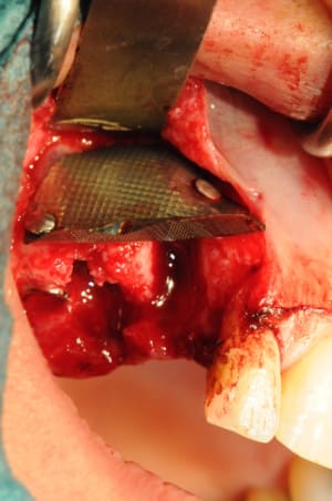 Dsc 2459 iqbyew - Eugenol