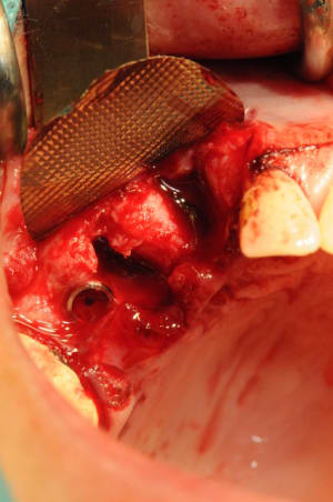 Dsc 2460 xnwwou - Eugenol