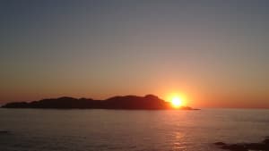 Dsc 3072 f923dy - Eugenol