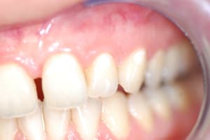 Dsc 5125 i2z90a - Eugenol