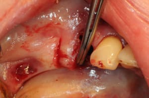 Dsc 5498 xkuisy - Eugenol