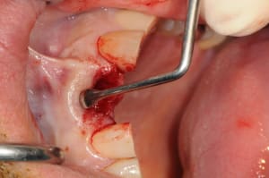 Dsc 5773 w1ck9b - Eugenol
