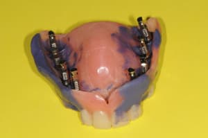 Dsc 6351 sgvsqw - Eugenol