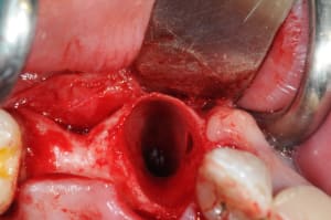 Dsc 6736 vhaqdb - Eugenol