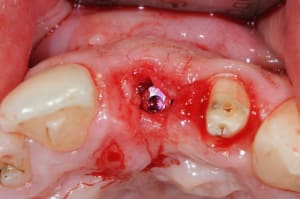 Dsc 6784 evpuee - Eugenol