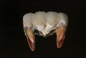Dsc 9924 enqu6p - Eugenol