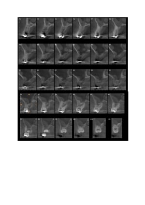 Doc1 t6udec - Eugenol
