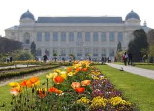 Entree jardin plantes au printemps iw1kcr - Eugenol